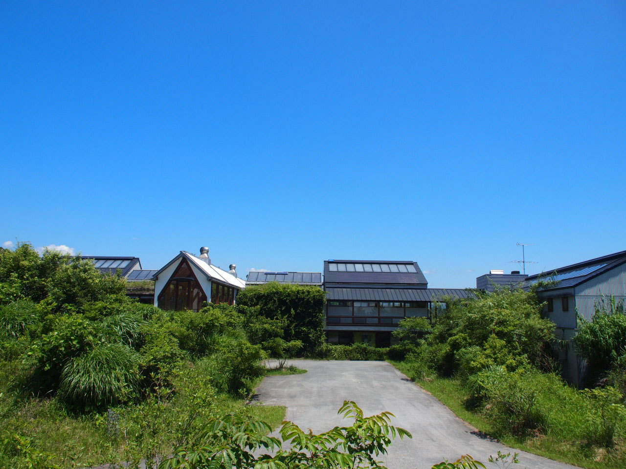 社屋写真